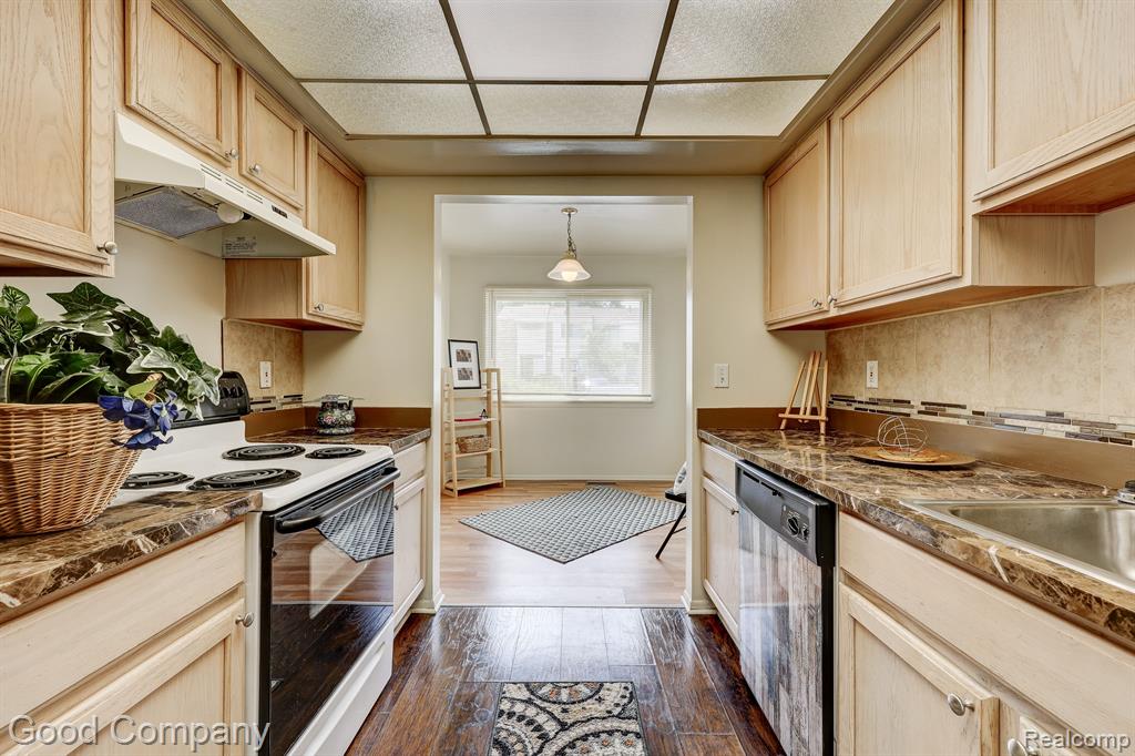 1 FREDRICKSBURG TOWNE Street, Southfield, MI 48075 — Photo 12