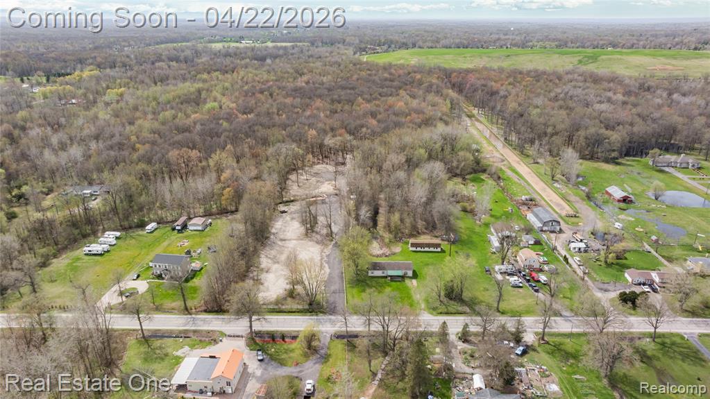 26996 Sumpter Road, Belleville, MI 48111 — Photo 5