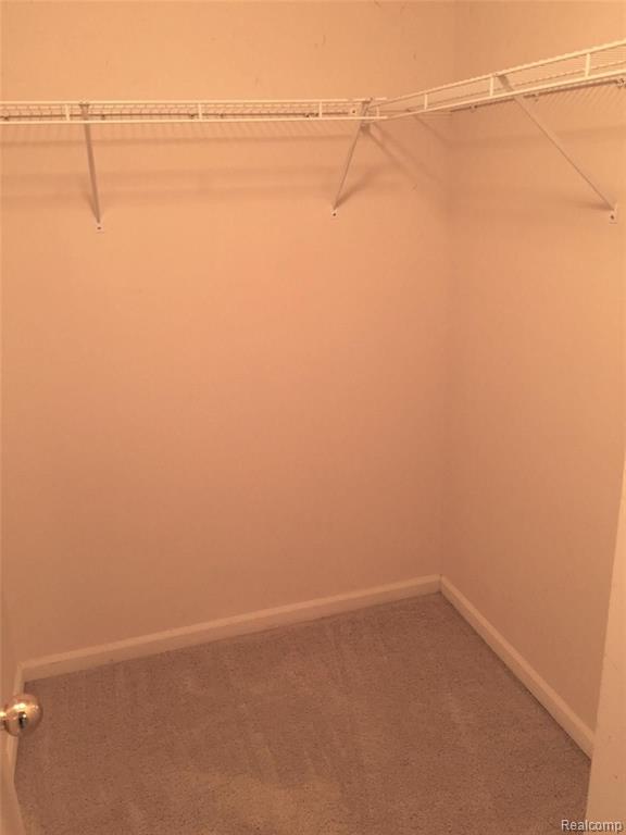49225 W Woods Drive, 20, Utica, MI 48317 — Photo 8