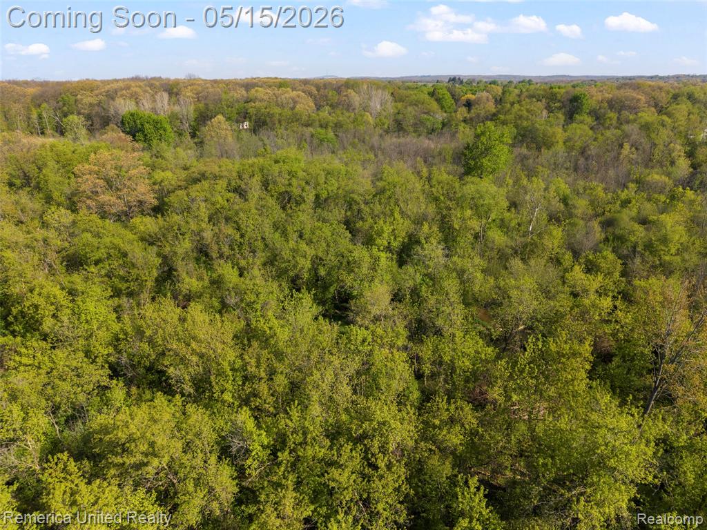 61151 Palomino Court, South Lyon, MI 48178 — Photo 12