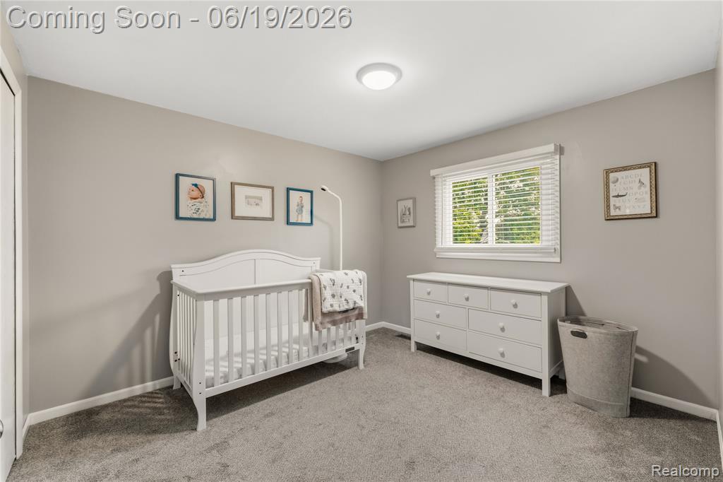 45209 Saltz Road, Canton, MI 48187 — Photo 27