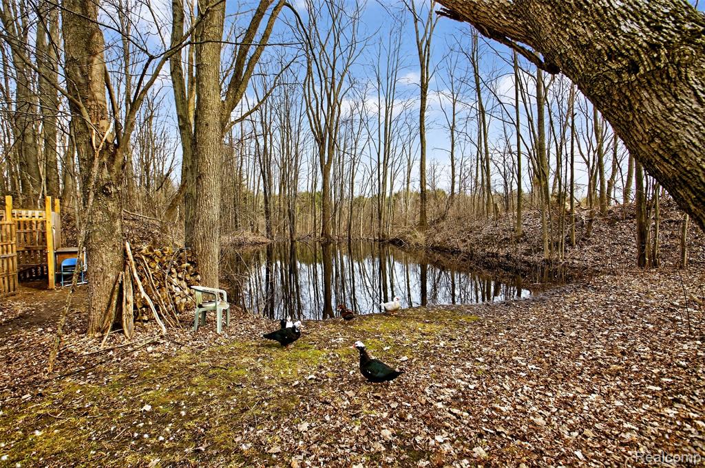 7651 Caine Road, Millington, MI 48746 — Photo 2