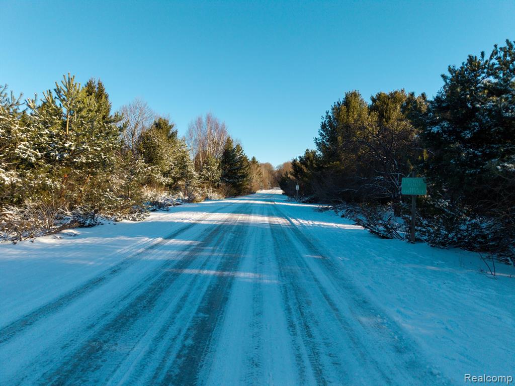 lot 4 BAY RIDGE ESTATES Drive, Ellsworth, MI 49729 — Photo 13