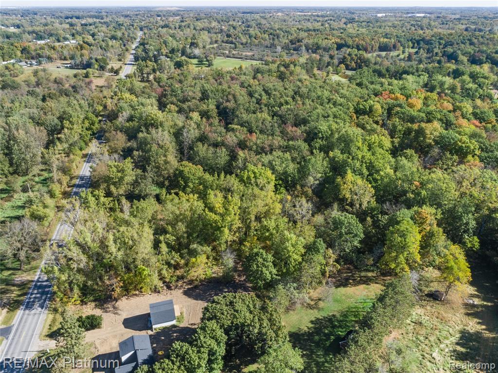 South of 12111 Linden Rd Linden Road, Linden, MI 48451 — Photo 10
