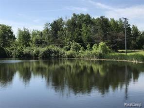 V/l RIVER VINE Drive, Morley, MI 49336 — front exterior