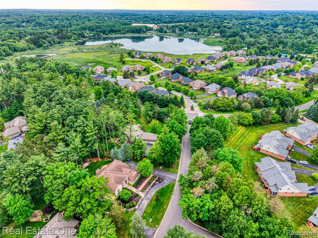 5258 Hidden Pines Drive, Brighton, MI 48116 — Photo 8