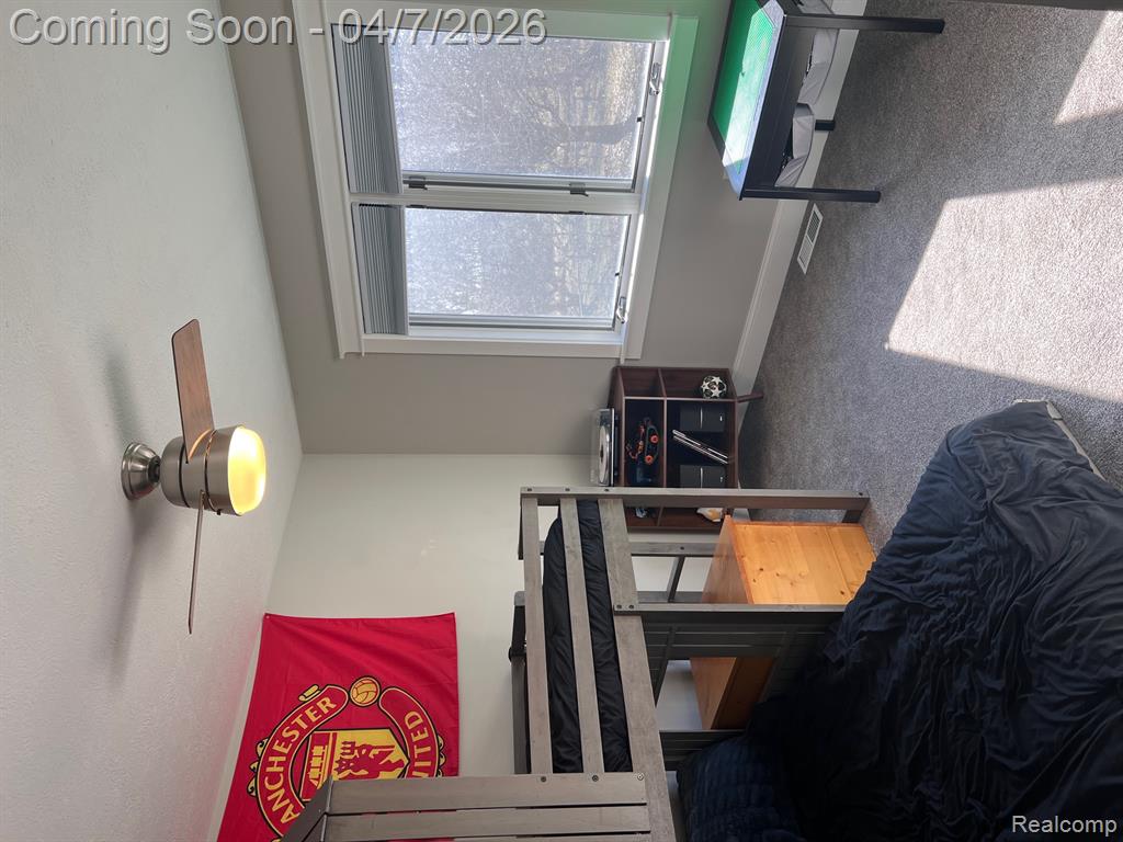 4740 S Francis Road, St. Johns, MI 48879 — Photo 19