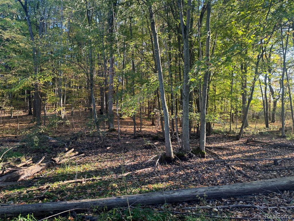 VL Rock Valley Road, Metamora, MI 48455 — Photo 4