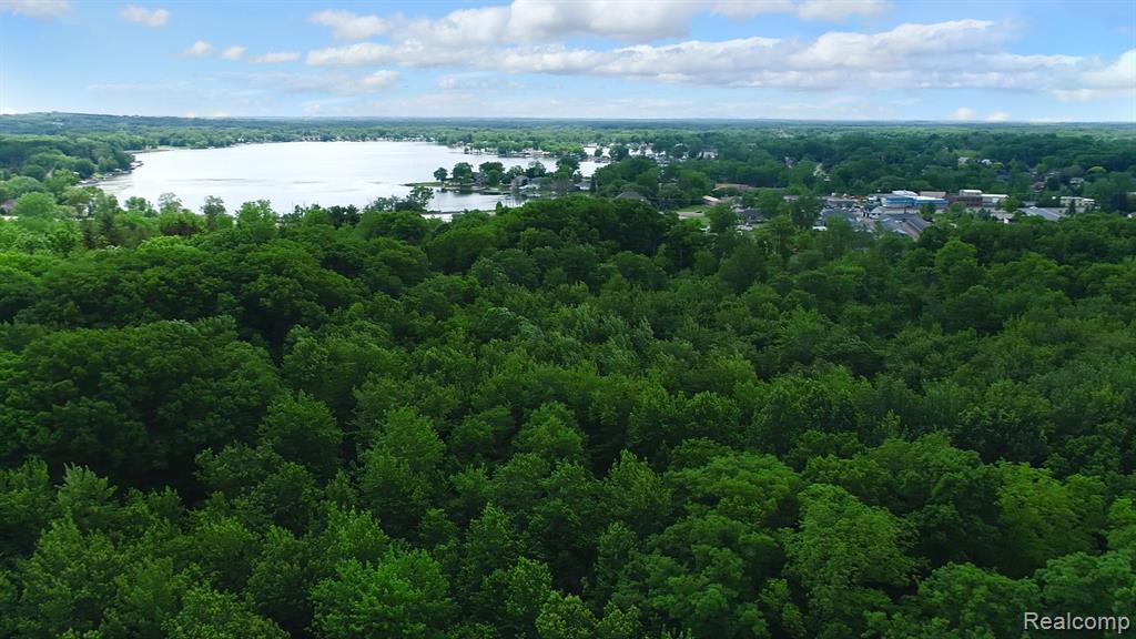 1050 Teggerdine Road, White Lake, MI — Photo 18
