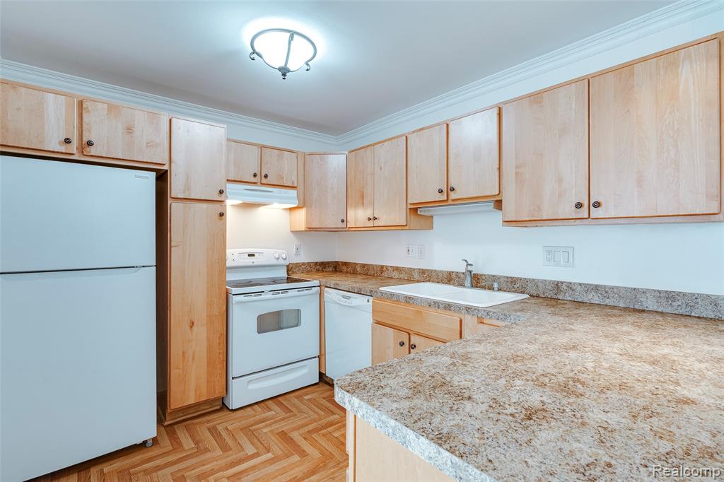 39615 Village Wood Lane, Novi, MI — Photo 17
