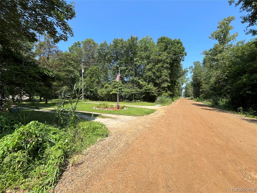 28524 Elwell Road, Belleville, MI 48111 — Photo 4