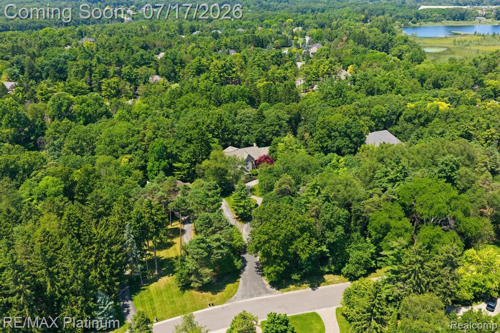 5458 Lake Ridge Drive, Brighton, MI 48116 — Photo 47