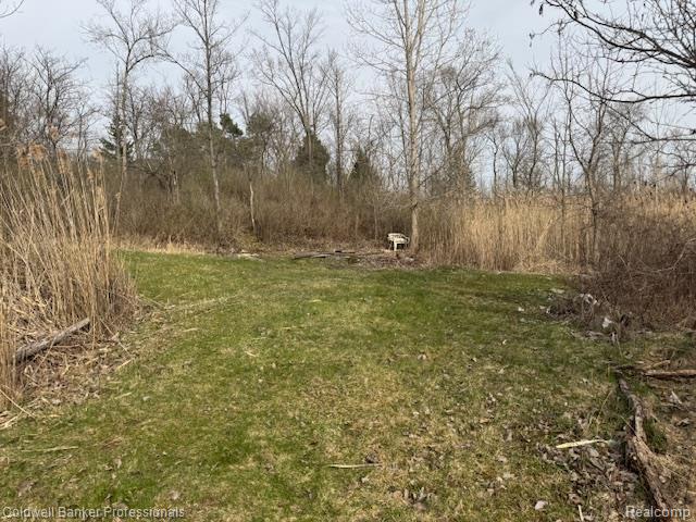 VL Rattle Run Road, St. Clair, MI 48079 — Photo 41