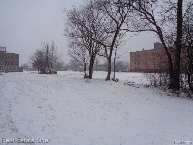2691 ROCHESTER Street, Detroit, MI 48206 — Photo 17