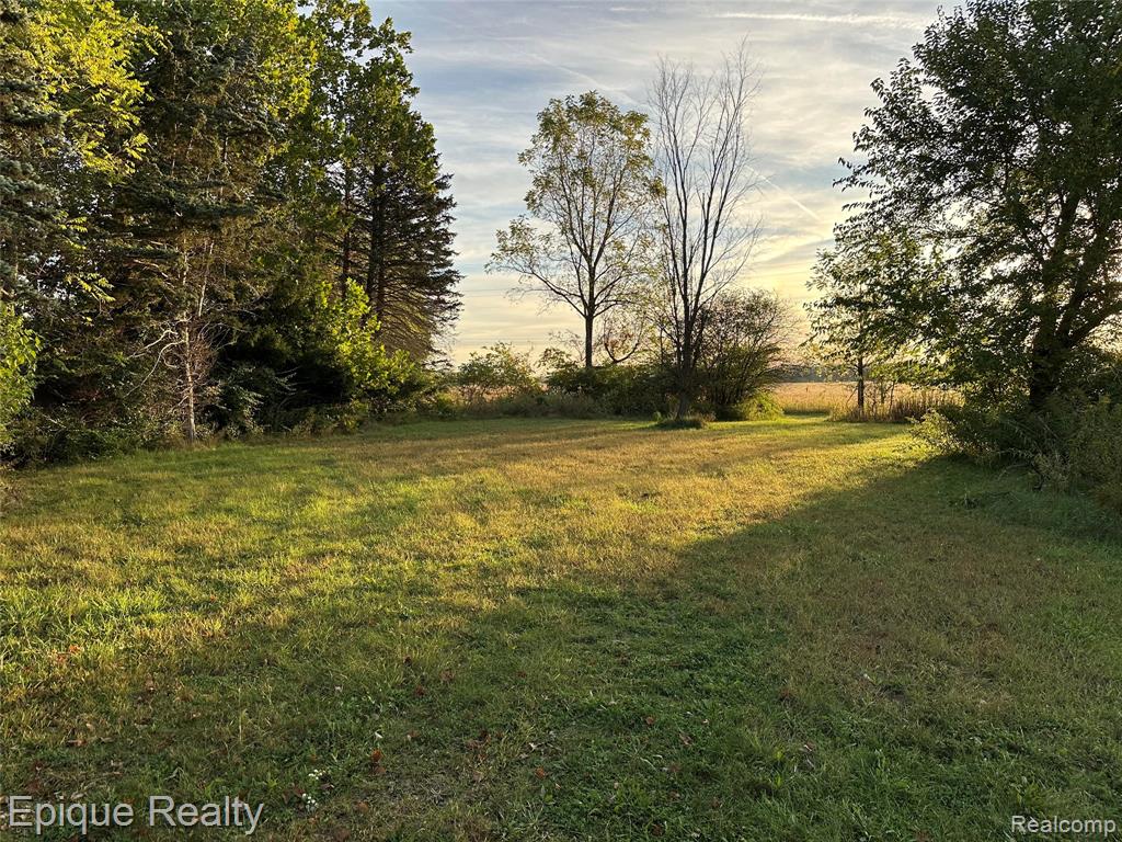 1353 E Lloyd Road, Dundee, MI