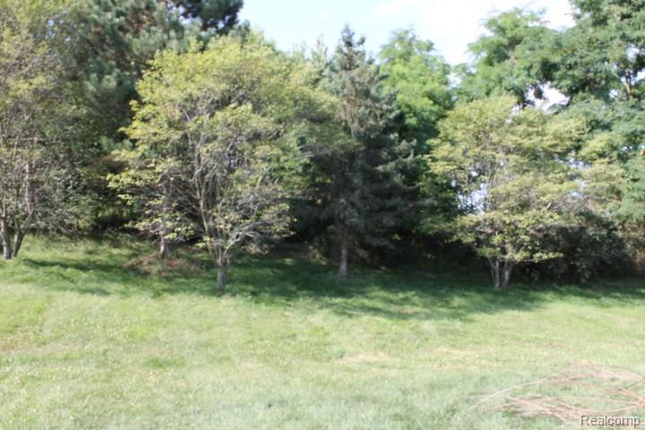441 Otter Run Road, Holly, MI 48442 — Photo 30