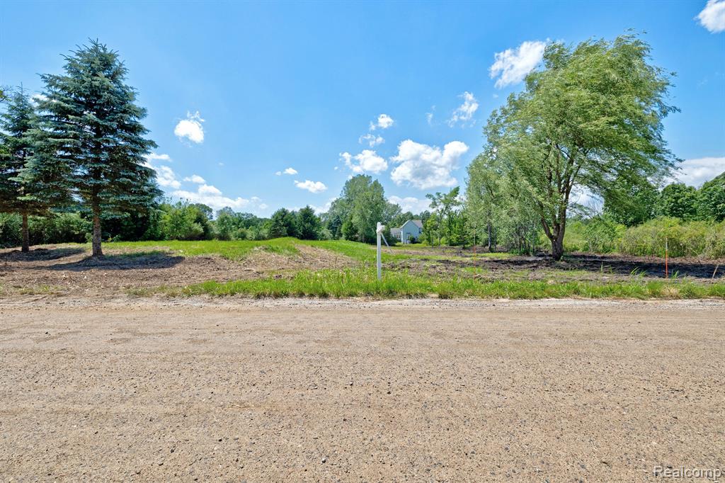 Vacant Land Brandt Road, Ortonville, MI 48462 — Photo 17