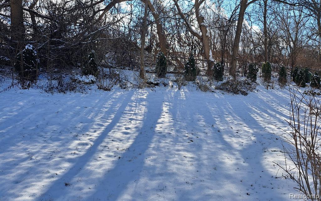 16 JAY LEE Court, Ann Arbor, MI 48108 — Photo 15