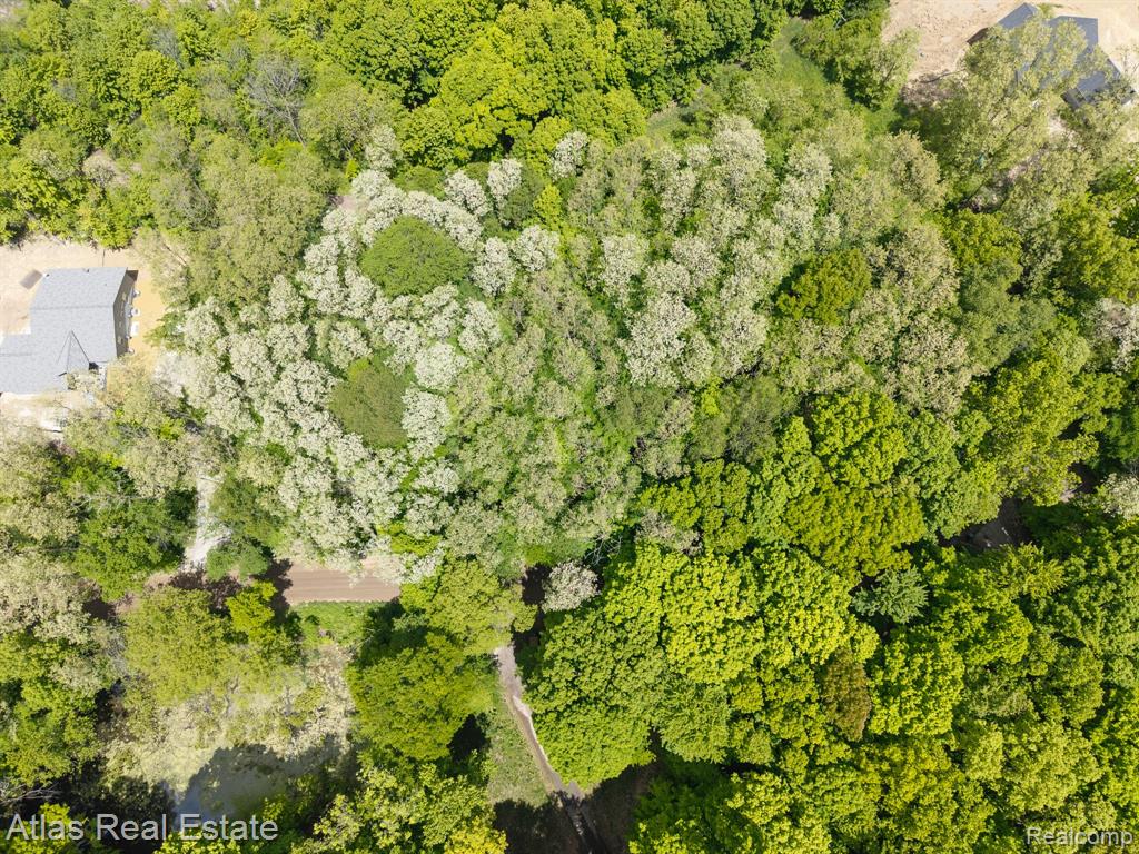 Parcel C Bald Eagle lk Rd, Ortonville, MI 48462 — Photo 5