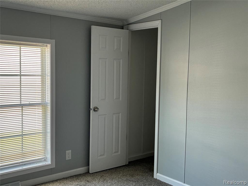 420 Hidden Ridge, Morrice, MI 48857 — Photo 9
