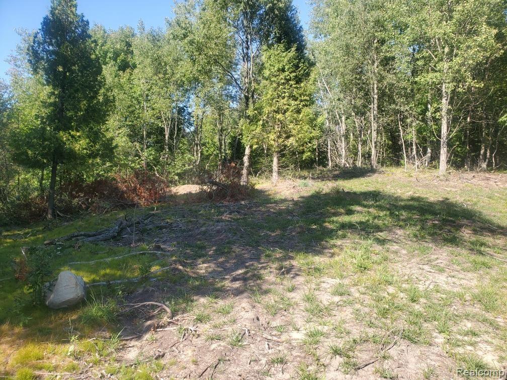 Parcel A Lake Bluff Drive, Arcadia, MI 49613 — Photo 9