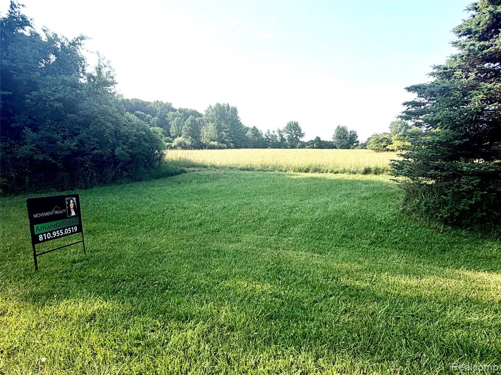 0070102220 Meadow Lane, Dryden, MI 48428 — Photo 4