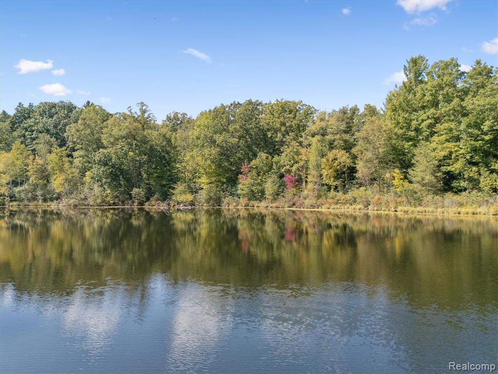 267 W Barnes Lake Road, Columbiaville, MI 48421 — Photo 46