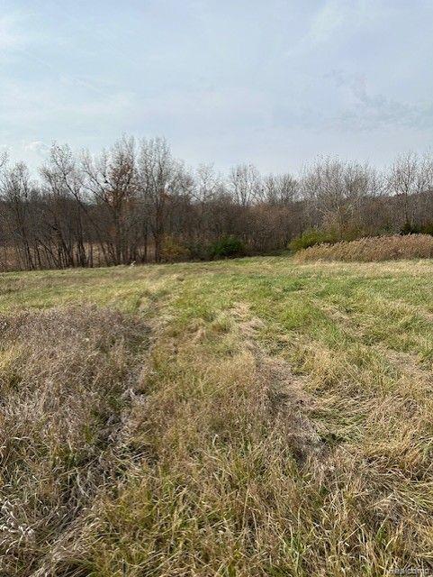 8438 JORDAN Road, Grand Blanc, MI 48439 — Photo 28