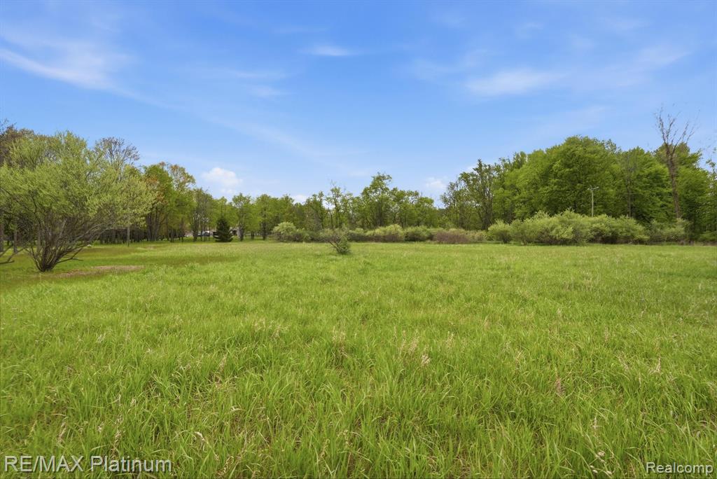 0 Hannah Jane Drive, Fowlerville, MI 48836 — Photo 4