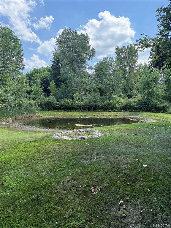 3199 West Road, Metamora, MI 48455 — Photo 39