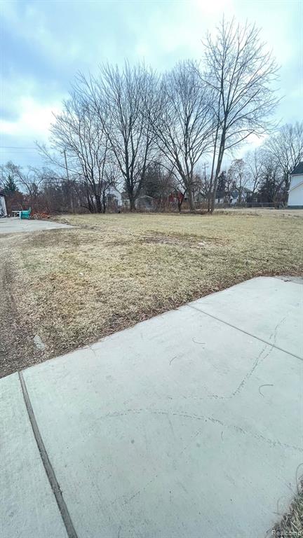 4706 LAKEVIEW Street, Detroit, MI 48215 — Photo 4
