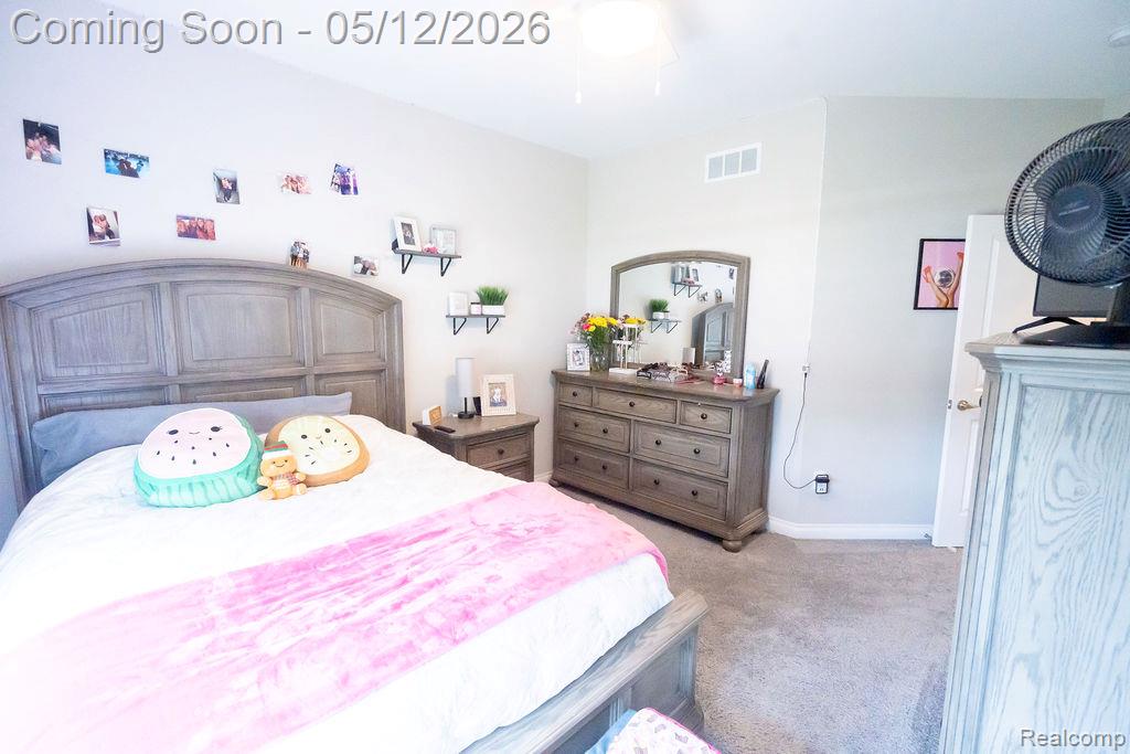 21097 McGuire, Romulus, MI 48174 — Photo 29