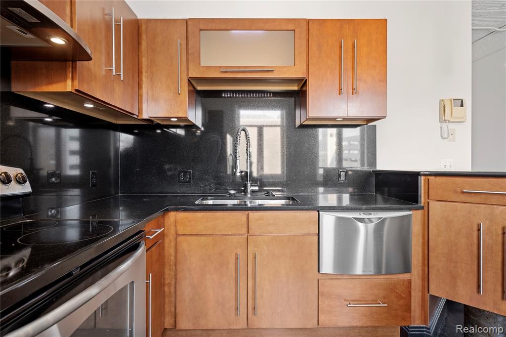 2233 Park Avenue, Detroit, MI 48201 — Photo 12