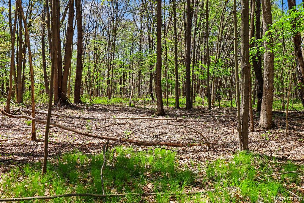 Parcel #3 Milford Rd, Holly, MI 48442 — Photo 14