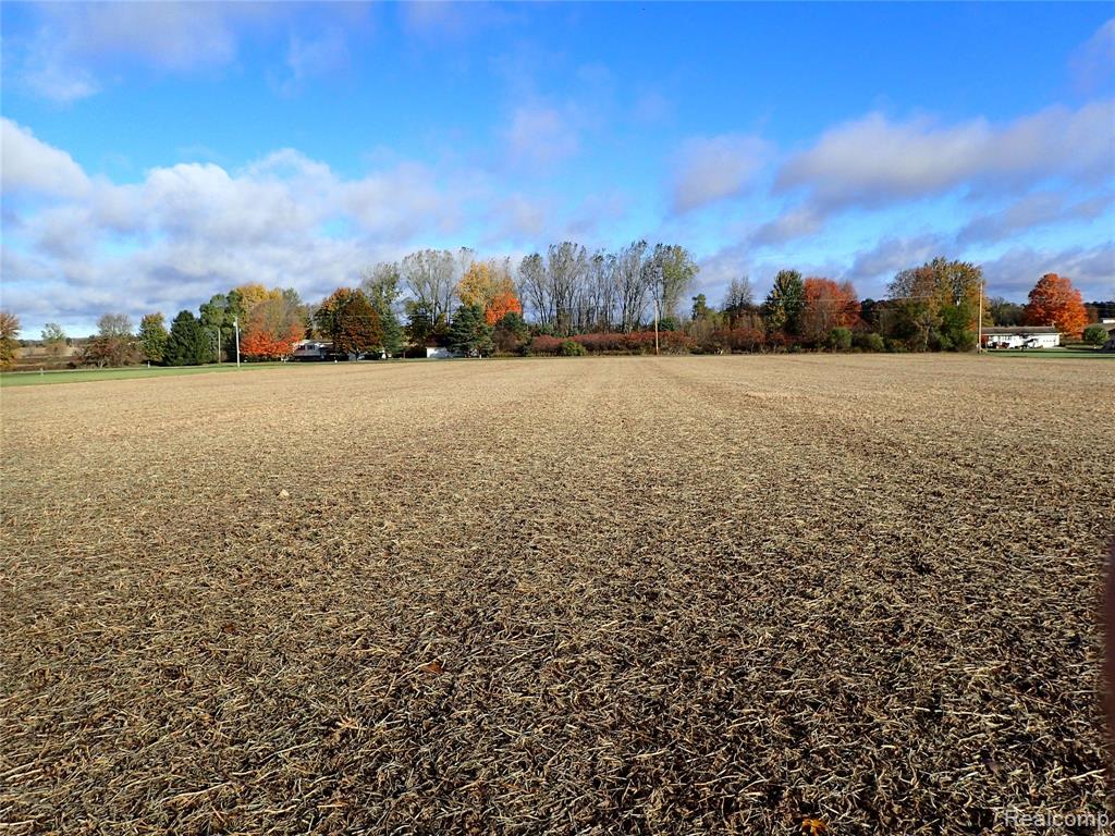 0 Hayner Road, Fowlerville, MI 48836 — Photo 4