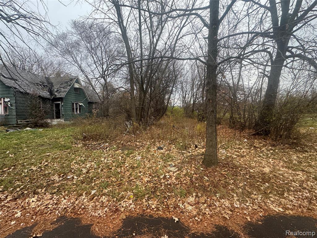 4226 18TH Street, Detroit, MI 48208 — Photo 10
