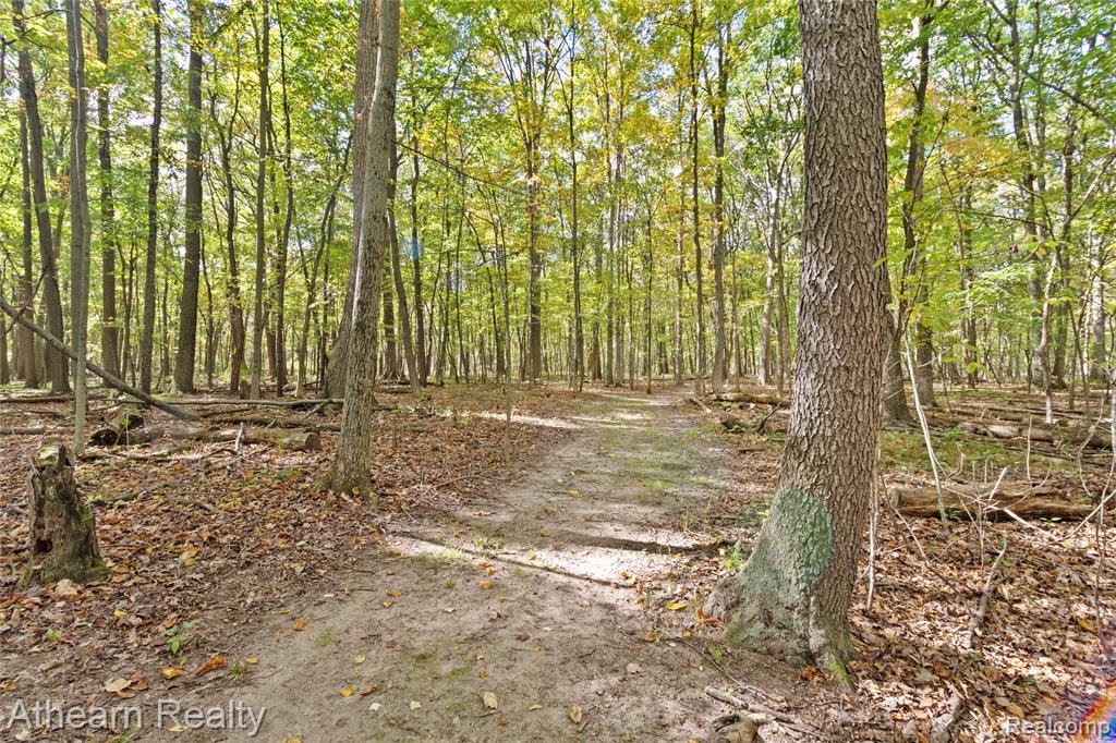 12471 Vernon Road, Bancroft, MI 48414 — Photo 26
