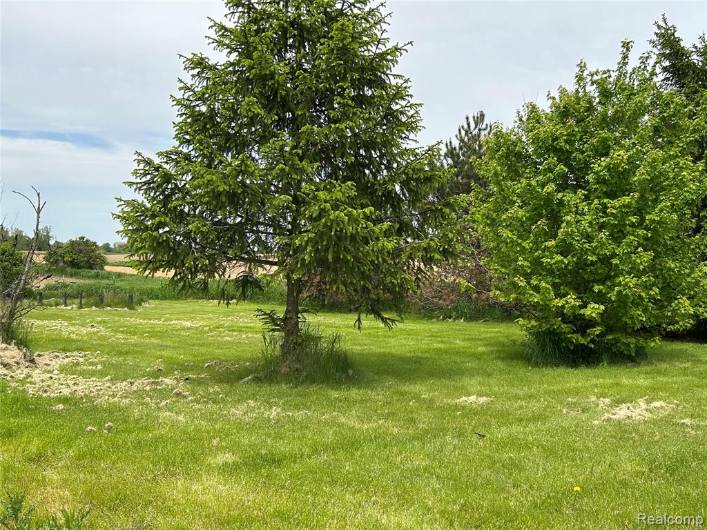 8610 Peck Road, Marlette, MI 48453 — Photo 11