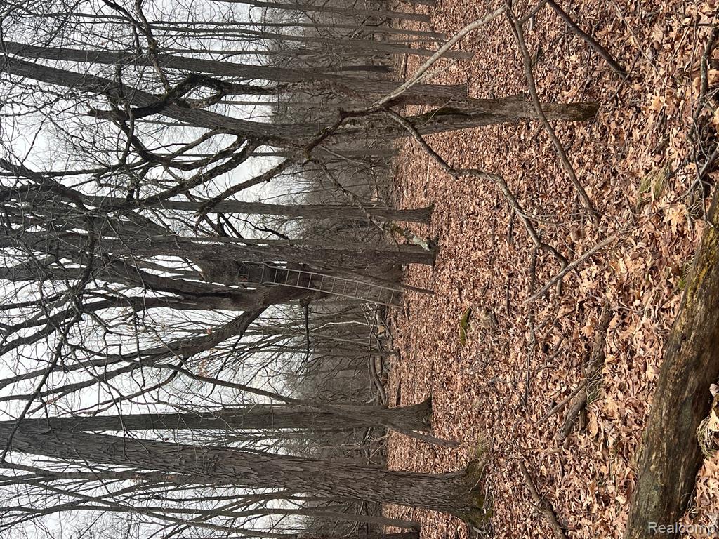 VL Washington Street, Perry, MI 48872 — Photo 24