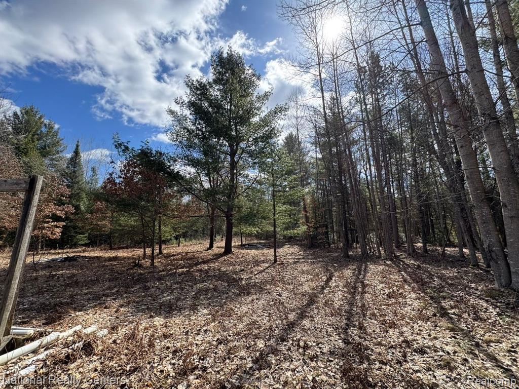 4233 Hardacre Trail, Houghton Lake, MI 48629 — Photo 7