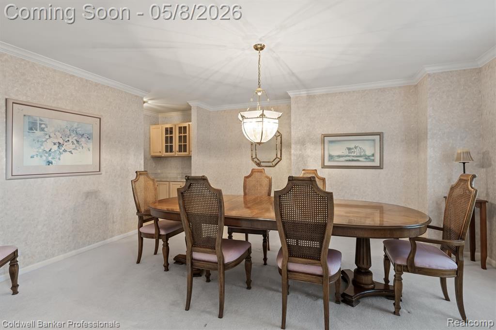 46770 Southview Lane, Plymouth, MI 48170 — Photo 21