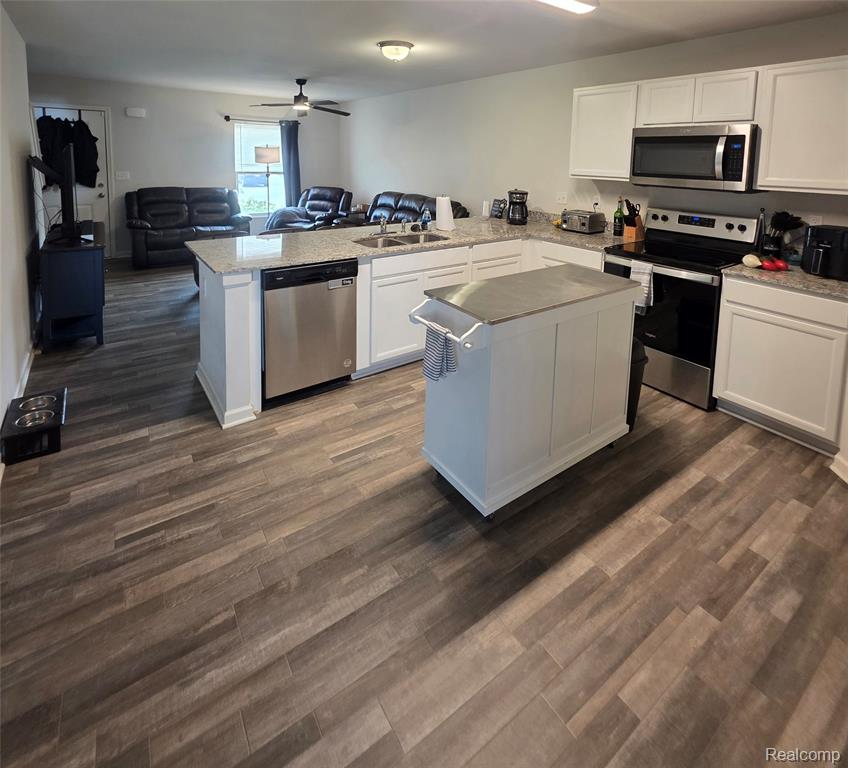 4226 Wild Goose Drive, Swartz Creek, MI 48473 — Photo 6