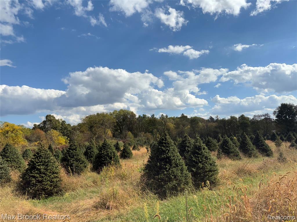 4700 Stanley Road, Columbiaville, MI 48421 — Photo 87