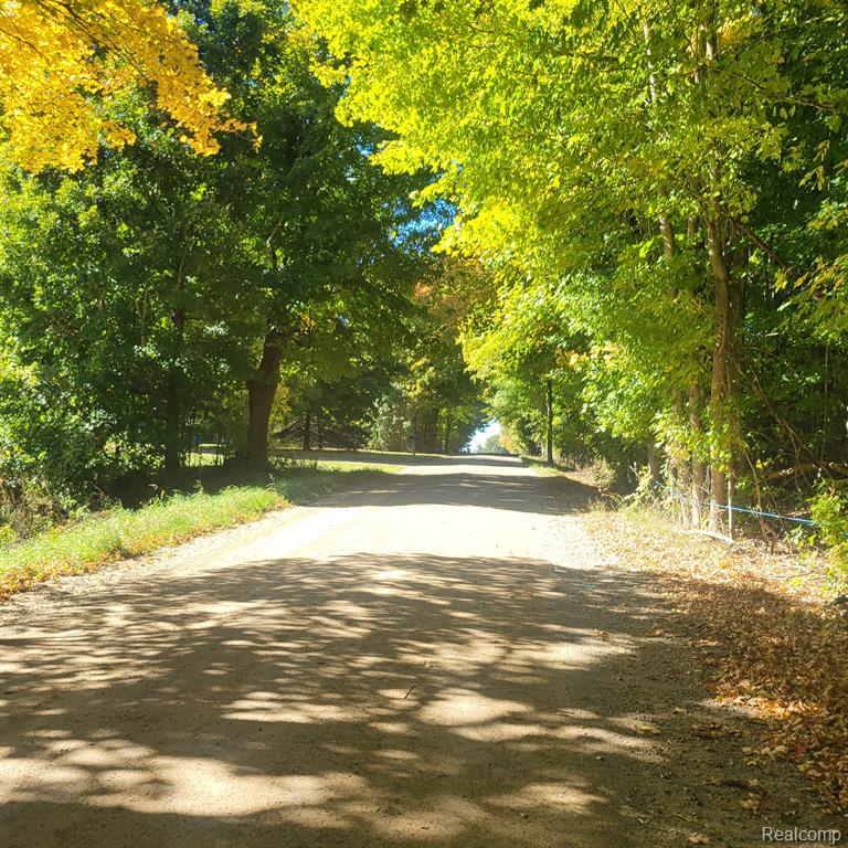 5782 LYONS Road, Imlay City, MI 48444 — Photo 37