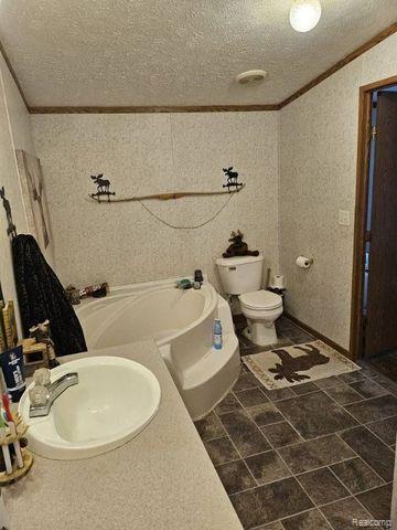 1650 MURRAY Road, Dansville, MI 48819 — Photo 12