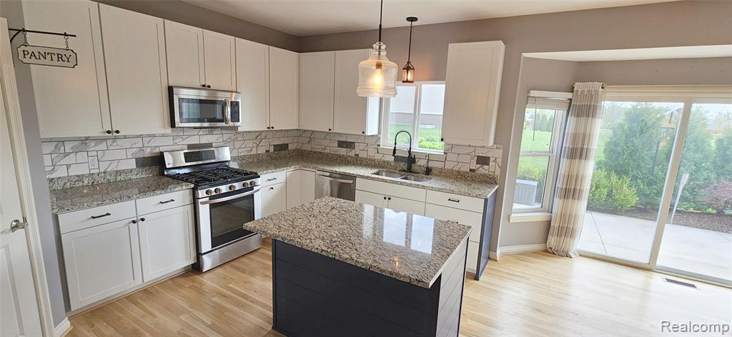 854 Jennifer Lane, South Lyon, MI 48178 — Photo 20