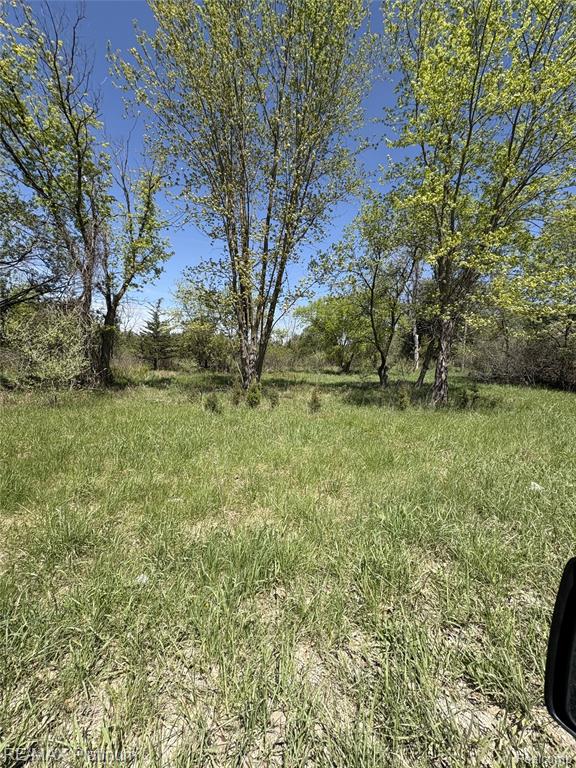 Parcel 7 Fisher Road, Howell, MI 48855 — Photo 4