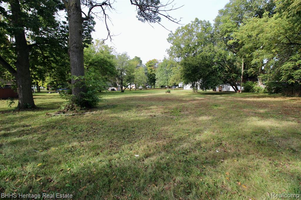 119 ANDRES Street, Chesaning, MI 48616 — Photo 2