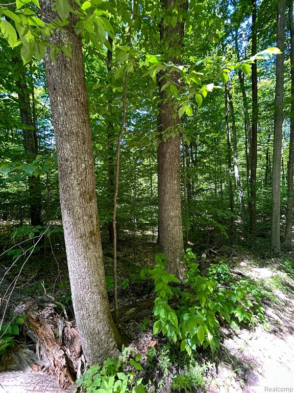 VL Smith Lake Road, Mancelona, MI 49659 — Photo 2