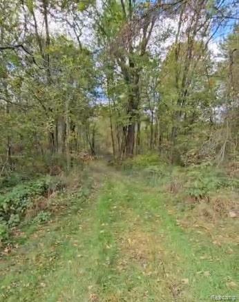 37 Risch Road, Webberville, MI 48892 — Photo 5